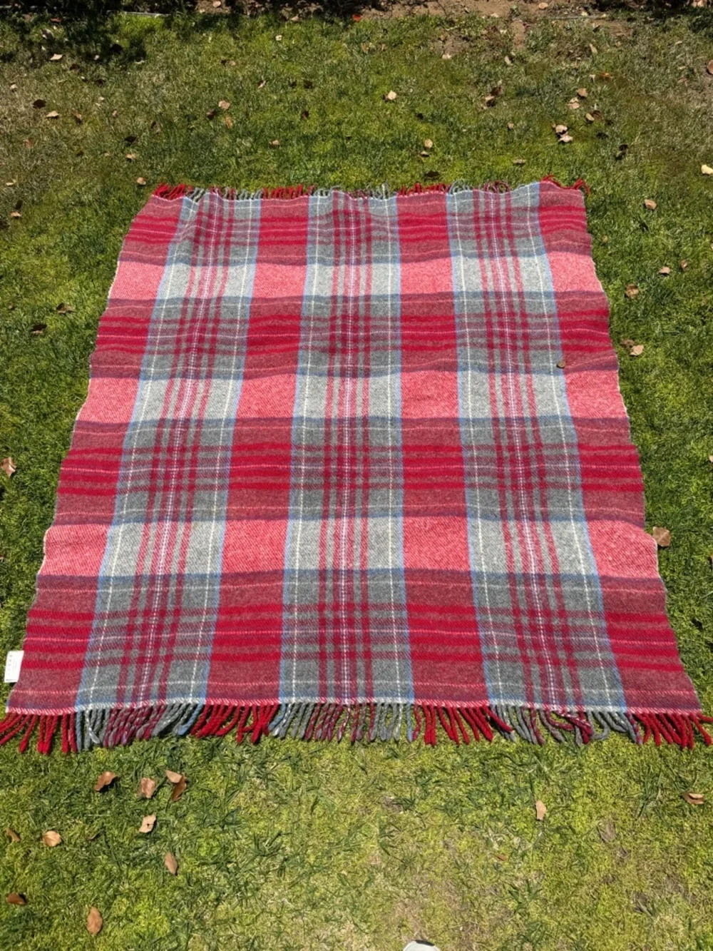 Coperte LaneRossi 100% Virgin Wool Fringed Throw Red Gray Blue Plaid 49x58 GUC